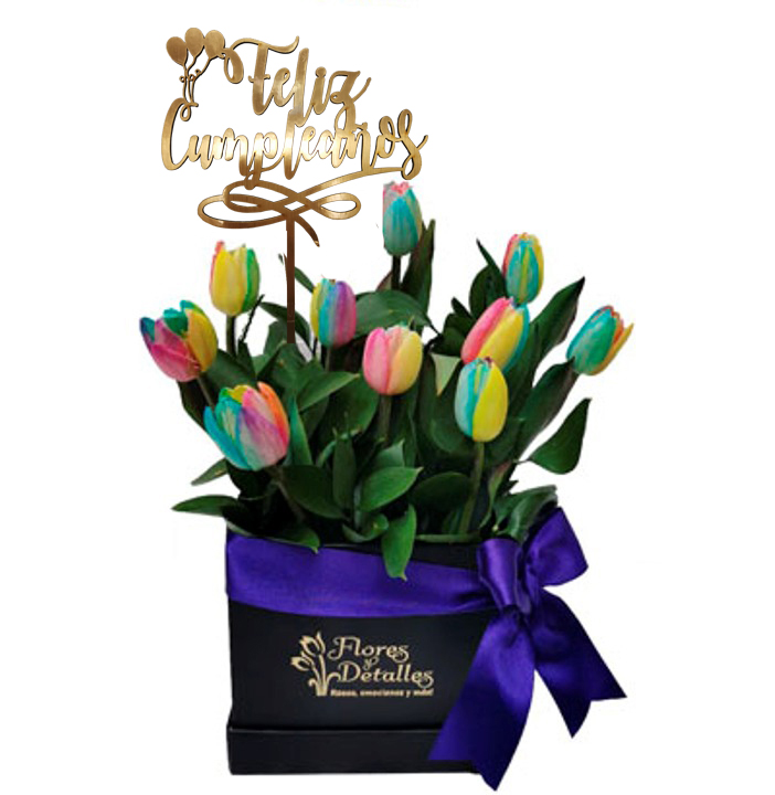 Box 10 Tulipanes multicolor 02