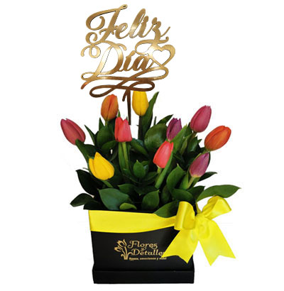 DE10 Box 10 Tulipanes Mixtos
