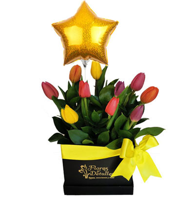 Box 10 Tulipanes Mixtos 07