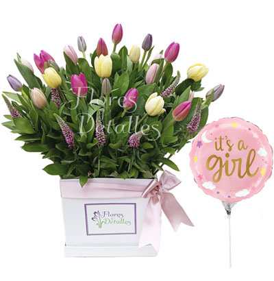 NC20 Box 25 Tulipanes Mixtos