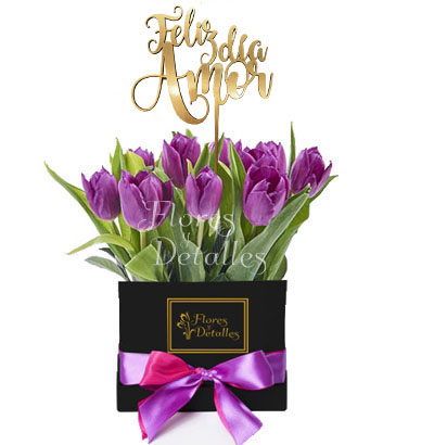 DE0 Box 10 Tulipanes Morados