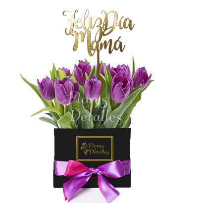 MA25 Box 10 Tulipanes Morados