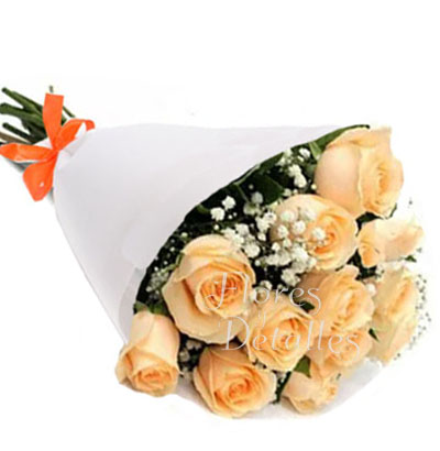 RA2 Ramo con 12 Rosas Melones