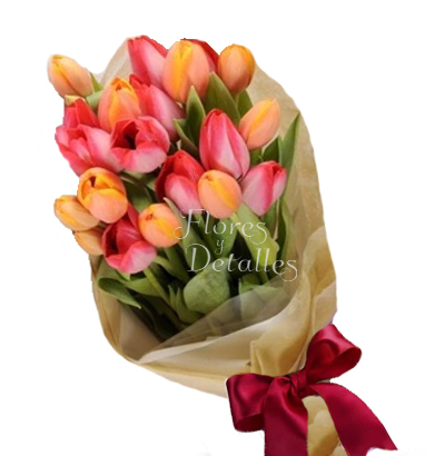 RT    Ramo 20 Tulipanes Mixtos