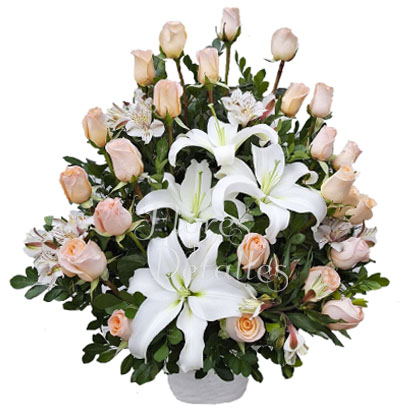 MA  Arreglo 24 Rosas Melones