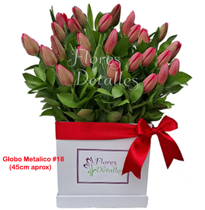 A40 Box 20 Tulipanes Rojos