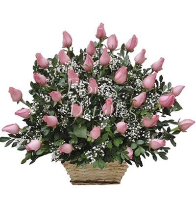 NC21 Canasta 50 Rosas Rosados