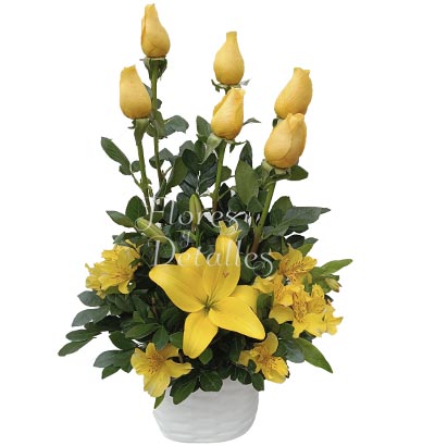 FA4 Arreglo 6 Rosas Amarillas