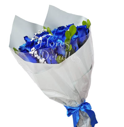 RA14 Ramo 24 Rosas azules 