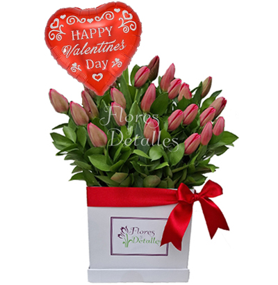 SV32 Box 20 Tulipanes Rojos 