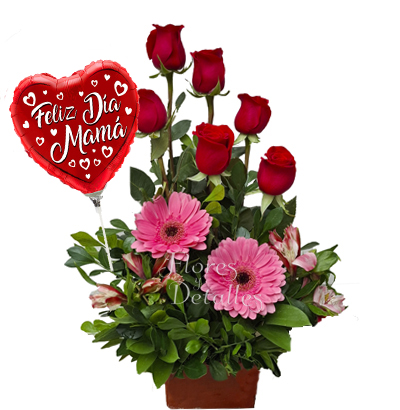 MA2 Arreglo 6 Rosas Rojas