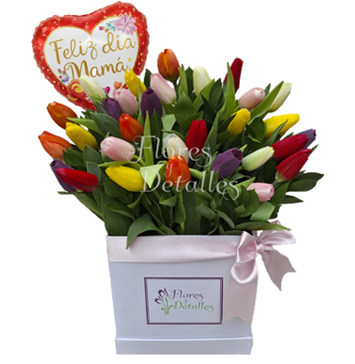 MA Box 25 Tulipanes Mixtos