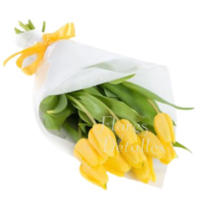  FA   Ramo 10 Tulipanes Amarillos