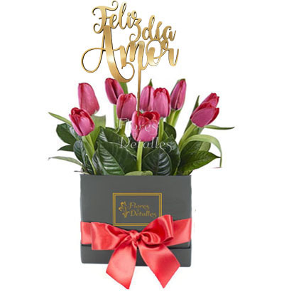 SV20 Box 10 Tulipanes Rojos