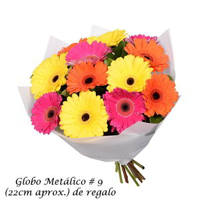 Ramo de 12 gerberas 0