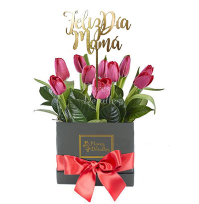 MA24 Box 10 Tulipanes Rojos