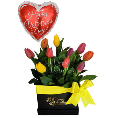 SV24 Box 10 Tulipanes Mixtos