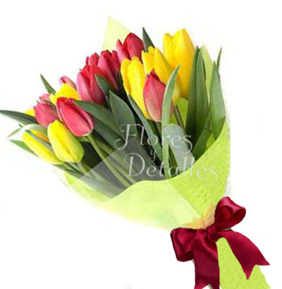 MA40 Ramo con 20 Tulipanes