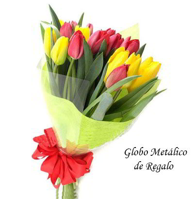 MA30 Ramo con 20 Tulipanes