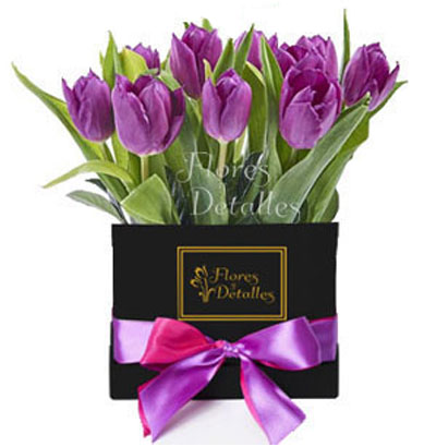 CU38 Box 10 Tulipanes Morados 