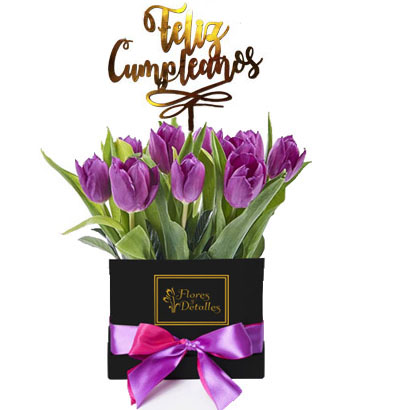 CU21 Box 10 Purple Tulips 