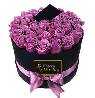 Box de 24 rosas Lilas