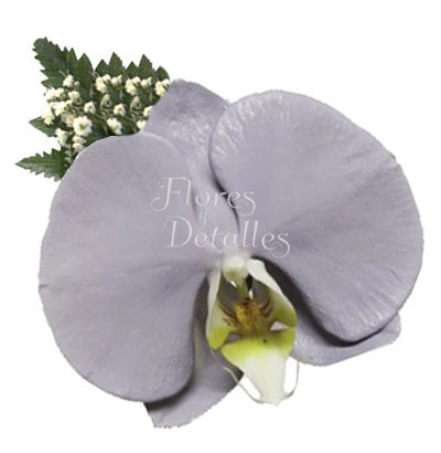Orquídea Natural Lila