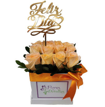 DE23 Box 12 Rosas Melones