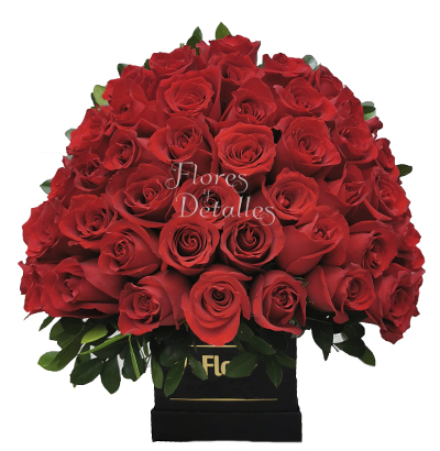 A48 Box 48 Rosas Rojas