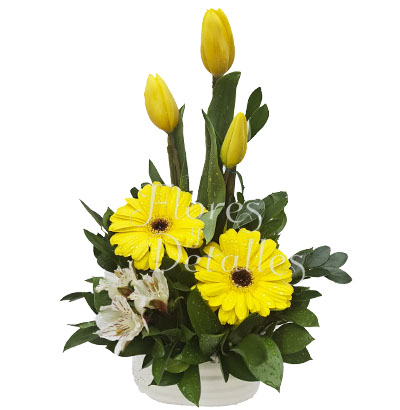 CU5 Arreglito con 3 Tulipanes 