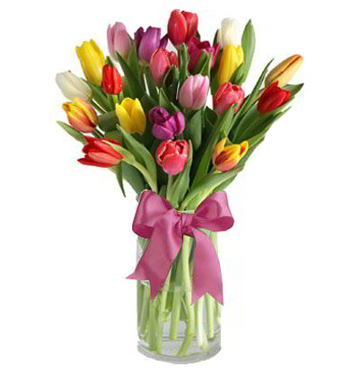 DE25 Jarrón de 20 Tulipanes Mixtos 